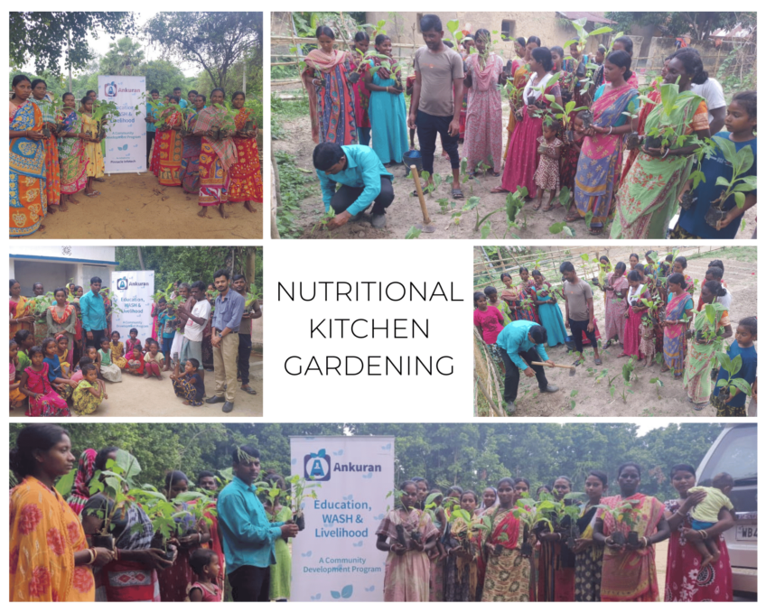 Pinnacle Organizes Nutritional Kitchen Gardening at Tribal Villages