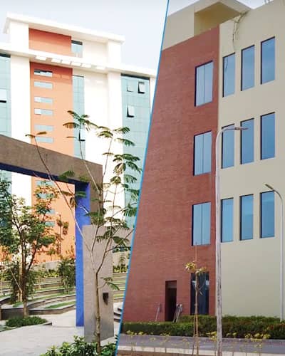 日本におけるPinnacle Infotechの事業