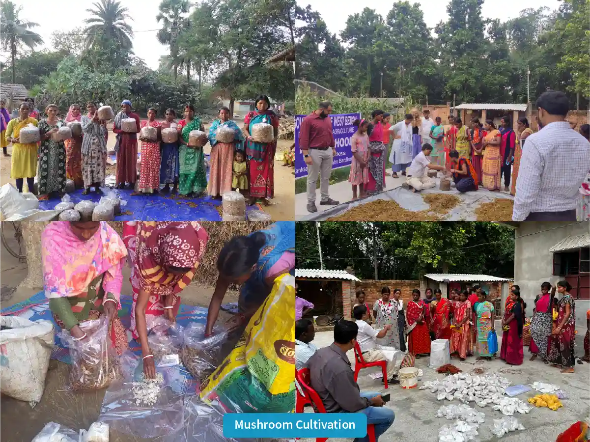 Mushroom cultivation workshop