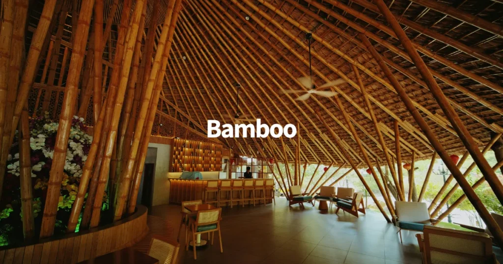 Bamboo