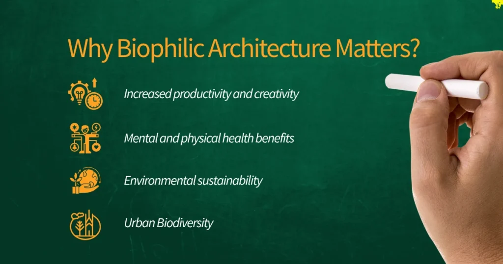 Why Biophilic Architecture Matters