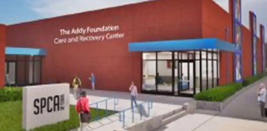 SPCA of Texas Alterations Lone Star