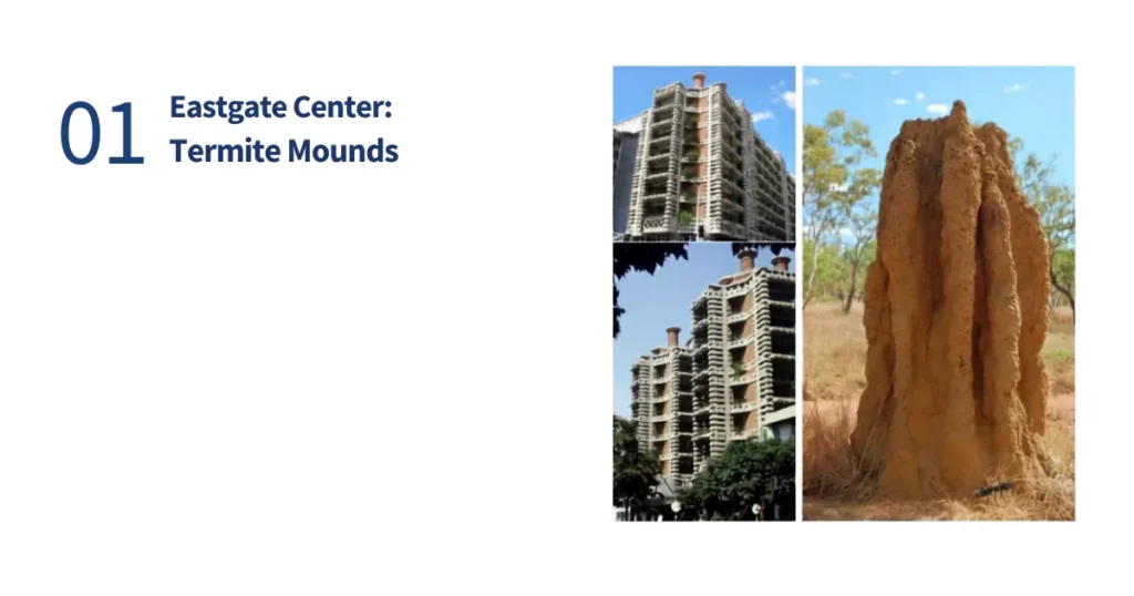 Split-screen showing an African termite mound beside the passive-cooled Eastgate Center building in Harare, Zimbabwe