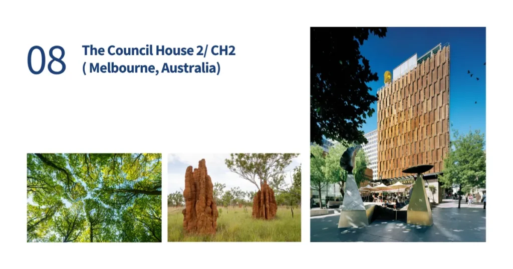 Split-screen highlighting biological tree bark and termite mound mechanics next to the eco-friendly facade of Council House 2 in Melbourne