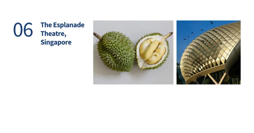 Split-screen comparison of the spiky skin of a durian fruit and the aluminum sunshade glass domes of Singapore's Esplanade Theatre