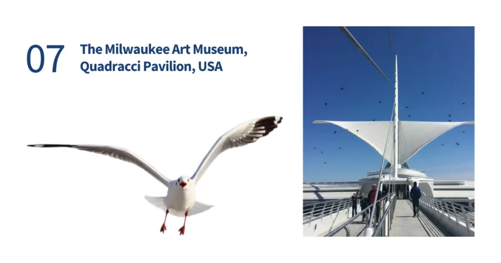 Split-screen showing a bird extending its wings alongside the kinetic steel Burke Brise Soleil sunscreen at the Milwaukee Art Museum