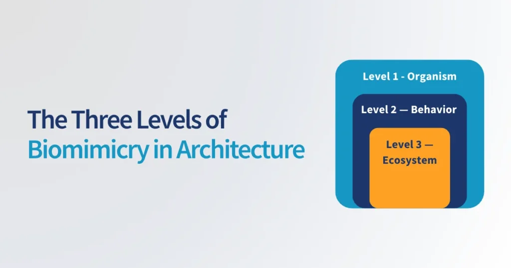 Three-level framework for biomimicry in architecture